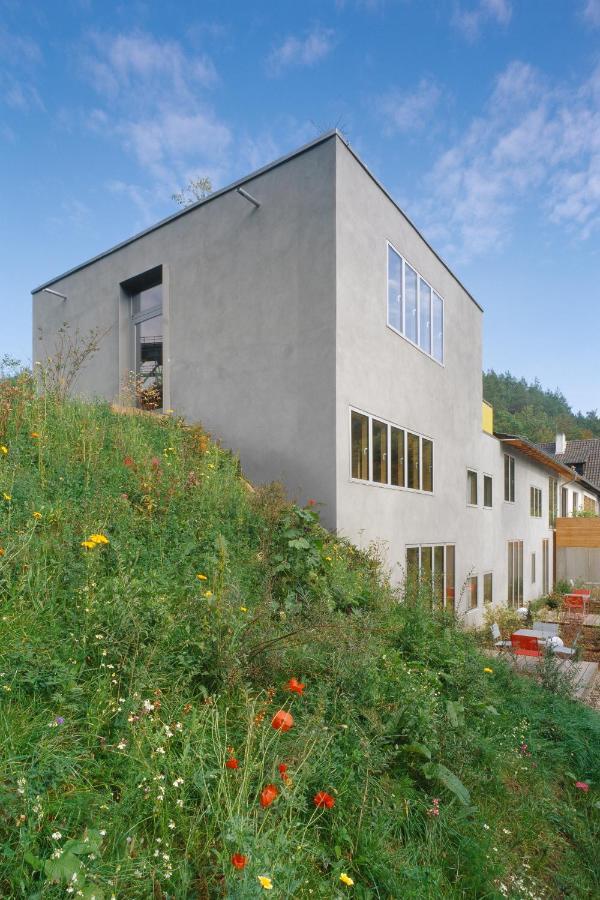 Seehaus Forelle Haeckenhaus Ramsen Екстериор снимка
